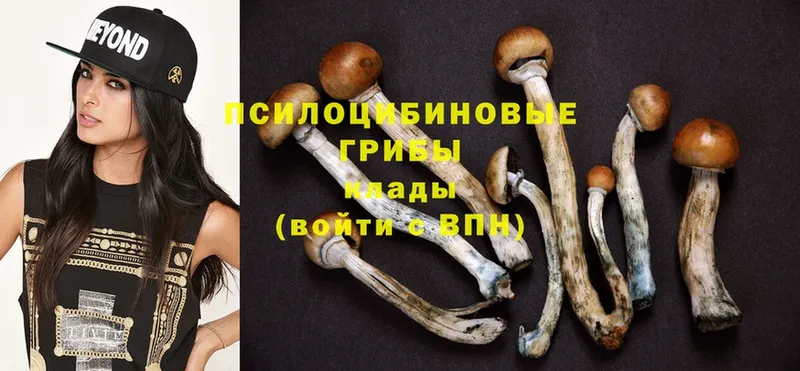 Псилоцибиновые грибы Magic Shrooms  купить  сайты  Кондрово 